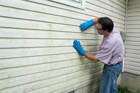 Best Storm Damage Siding Repair  in Mount Pulaski, IL